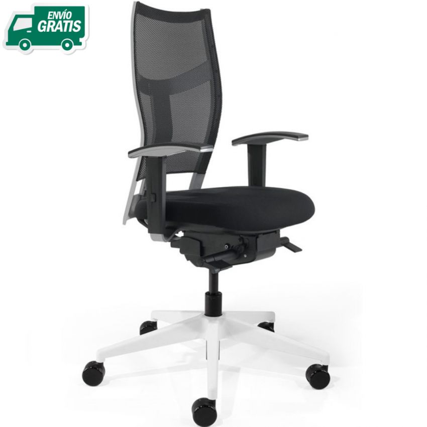 Silla trabajo ergonómica Zas DYNAMOBEL 12