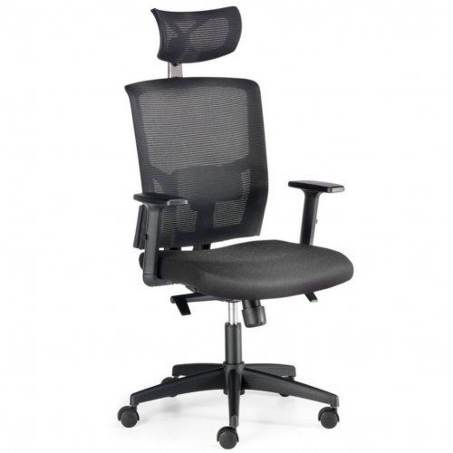 Silla ergonómica LUARCA 01